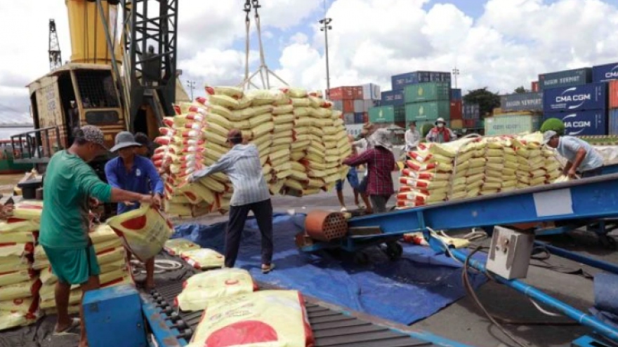 Philippine tax cut opens up new opportunities for Vietnamese rice exports